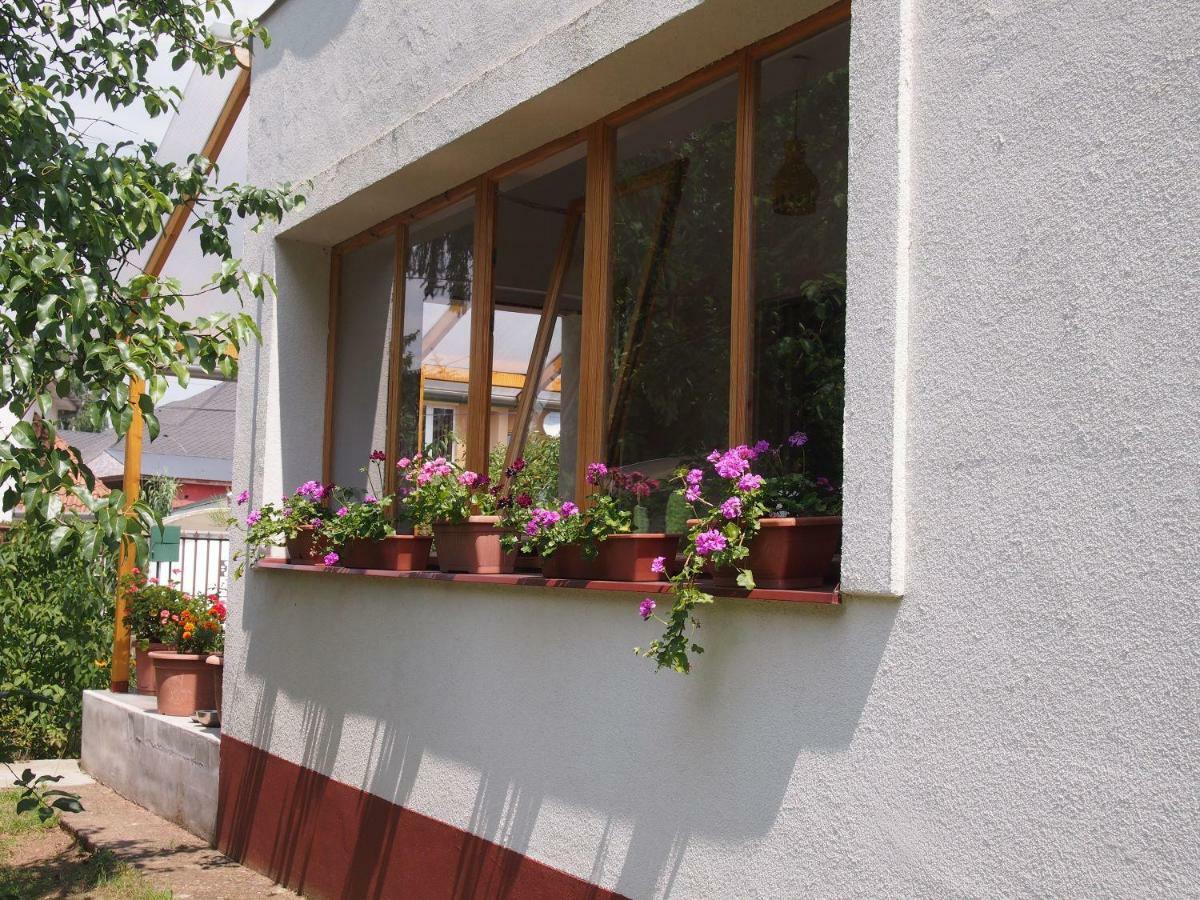 Deel Apartman Nyíregyháza Buitenkant foto
